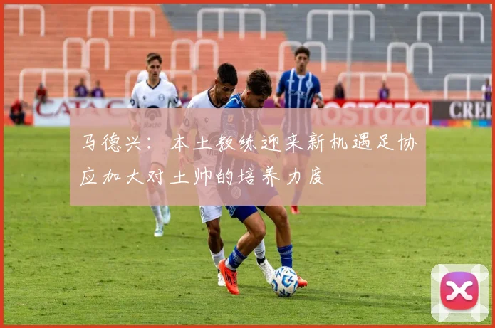 马德兴：本土教练迎来新机遇足协应加大对土帅的培养力度