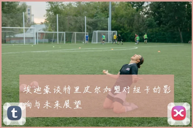 埃迪豪谈特里皮尔加盟对纽卡的影响与未来展望