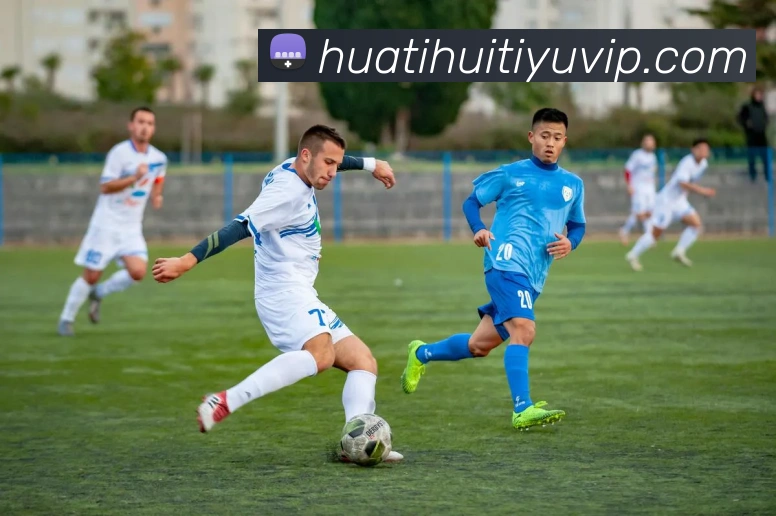 多媒体互动体验